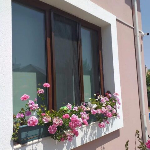 4a91df83-11a4-4687-9487-b721ac583b00